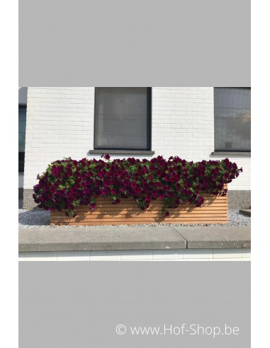 Malaga 200 x 50 x 61 cm - Jardinière Adezz en bois dur