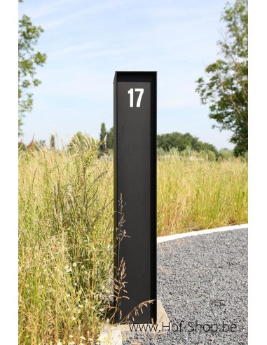 Fenix Top Medium RAL 9005 - boîte à colis eSafe aluminium