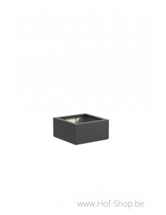 Buxus 80 x 80 x 40 cm - Plantenbak in polyester