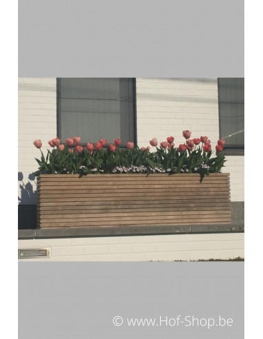Malaga Rhombus 200 x 50 x 65 cm - Plantenbak in hardhout