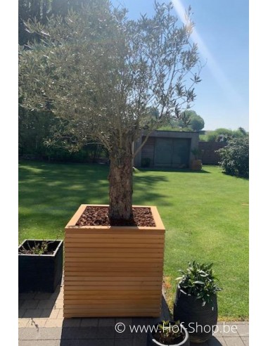 Malaga Rhombus 80 x 80 x 77 cm - Plantenbak in hardhout