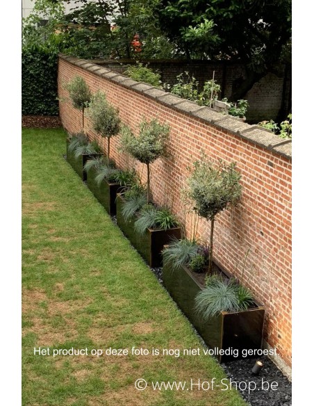 Carrez 200 x 50 x 60 cm - Jardinière Adezz en acier Corten