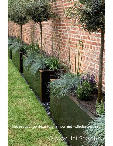 Carrez 200 x 50 x 60 cm - Jardinière Adezz en acier Corten