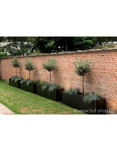 Carrez 200 x 50 x 60 cm - Jardinière Adezz en acier Corten