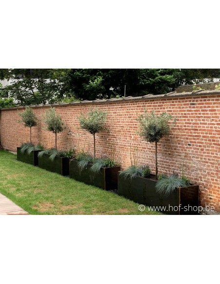 Carrez 200 x 50 x 60 cm - Jardinière Adezz en acier Corten