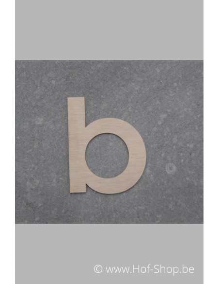 Letter B - inox 5 cm hoog