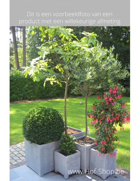 Square Modern 90 x 90 x 92 cm - Plantenbak in arduin