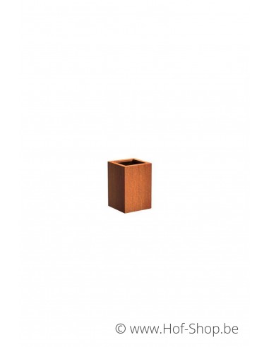 Andes 40 x 40 x 60 cm - Plantenbak in cortenstaal