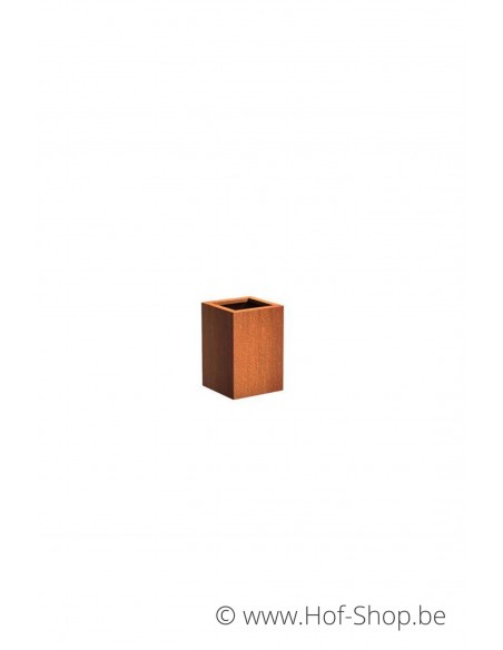 Carrez 40 x 40 x 60 cm - Jardinière Adezz en acier Corten