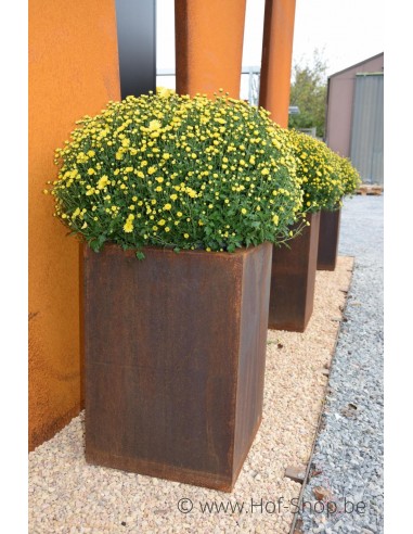 Carrez 40 x 40 x 60 cm - Jardinière Adezz en acier Corten