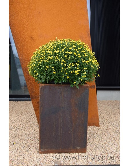 Carrez 40 x 40 x 60 cm - Jardinière Adezz en acier Corten