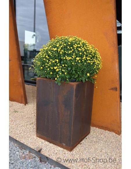 Carrez 40 x 40 x 60 cm - Jardinière Adezz en acier Corten