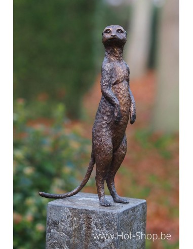 Suricate - statue en bronze (BS1332B)