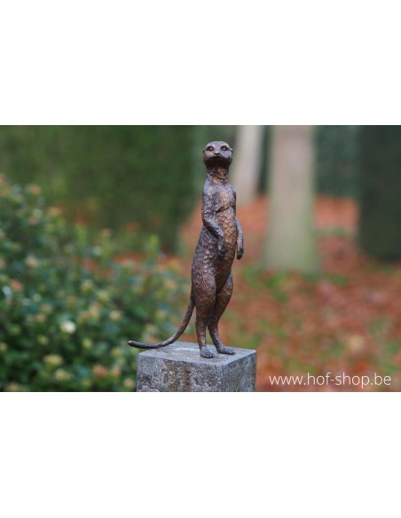 Suricate - statue en bronze (BS1332B)