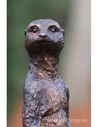 Suricate - statue en bronze (BS1332B)