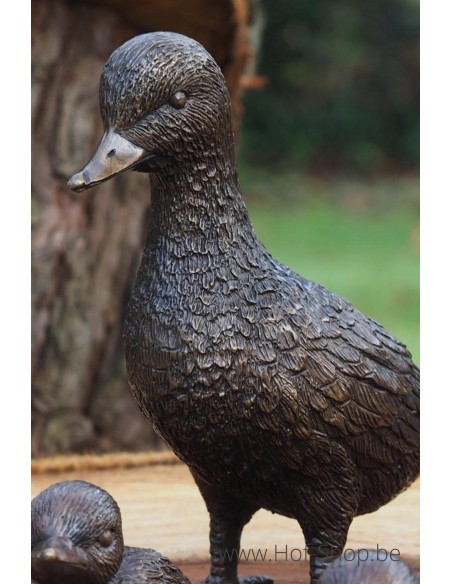 Ensemble de 5 canards - statue en bronze (BS0001B)