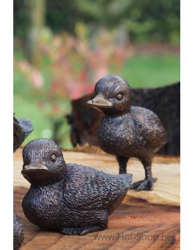 Ensemble de 5 canards - statue en bronze (BS0001B)