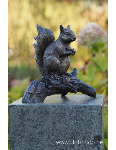 Eekhoorn op tak - bronzen beeld