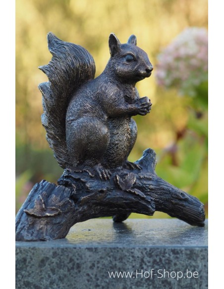 Écureuil sur branche - statue en bronze (BS1168B)
