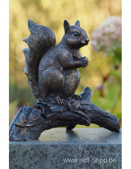 Eekhoorn op tak - bronzen beeld