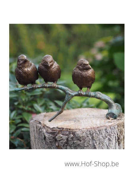 Moineaux sur branche - statue en bronze (BS0399B)