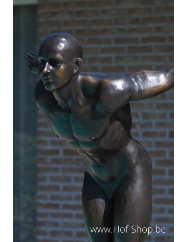 Zwemmer David - bronzen beeld