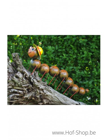 Grappige rups - metalen figuur (MD16162)