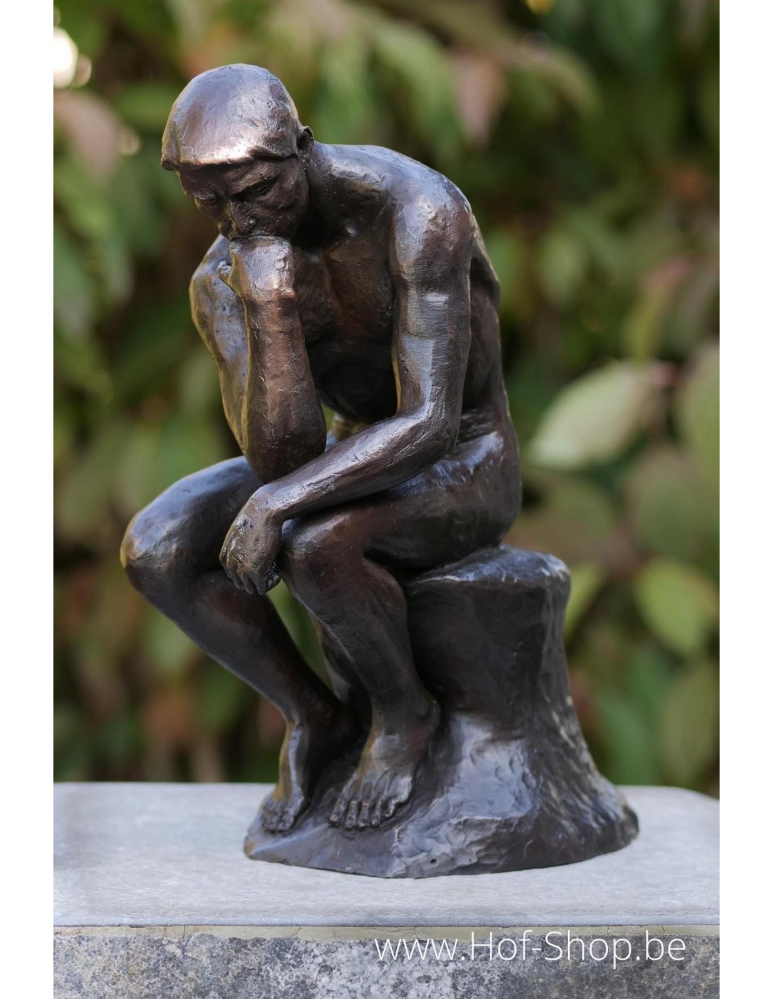 Uitvoerder niet verwant versnelling Denker van Rodin 29 cm - bronzen beeld (AN1316BR-B)