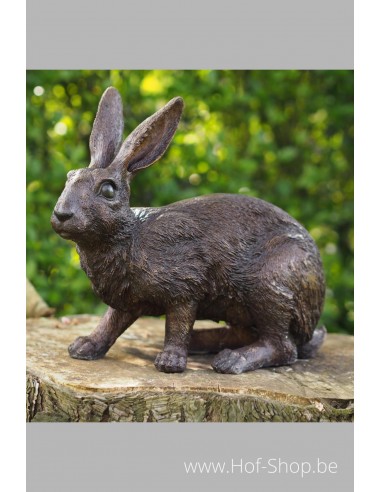 Lapin - statue en bronze (BS9824B)