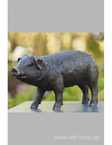 Varken - bronzen beeld (AN1170BRW-B)