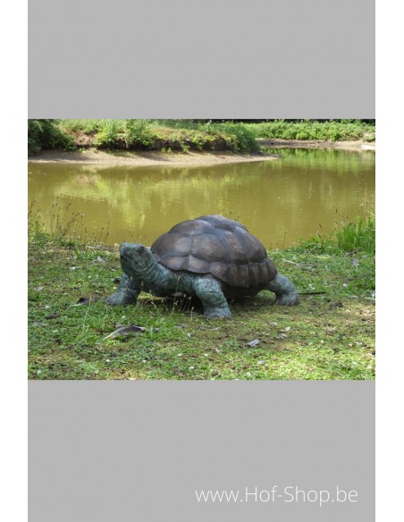 Schildpad - bronzen beeld (B58480-F)