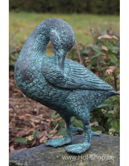 Canard nettoyant son aile - statue en bronze (AN0468BR-V)