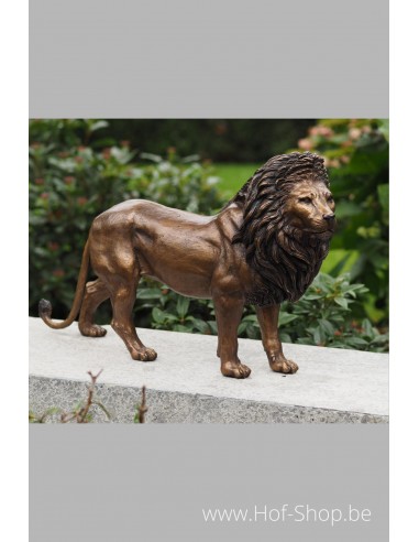 Lion - statue en bronze (BS0600B)