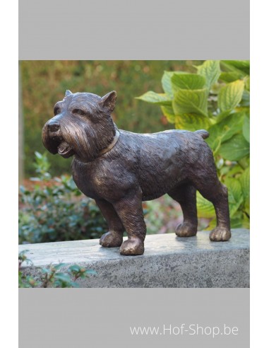 Chien Yorkshire - statue en bronze (B1176)