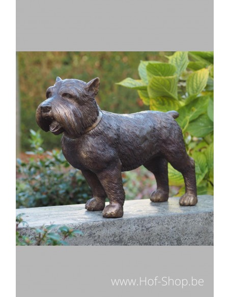 Yorkshire hond - bronzen beeld (B1176)