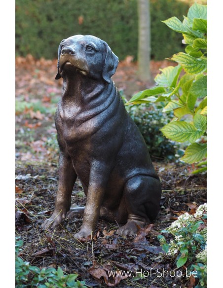 Rottweiler - bronzen beeld (B1174)
