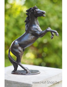 Klein steigerend paardje - bronzen beeld (AN1100BR-B)