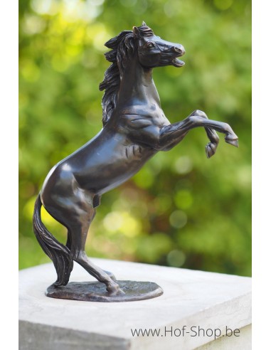 Klein steigerend paardje - bronzen beeld (AN1100BR-B)